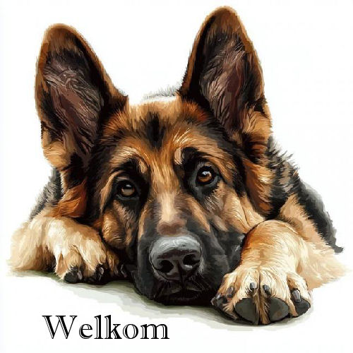 00adog herder  welk…