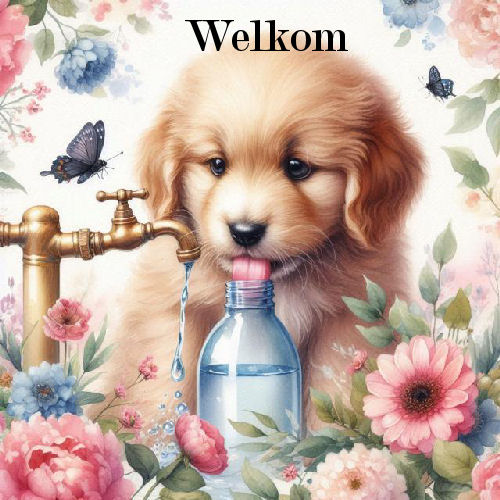 00adog water welkom…