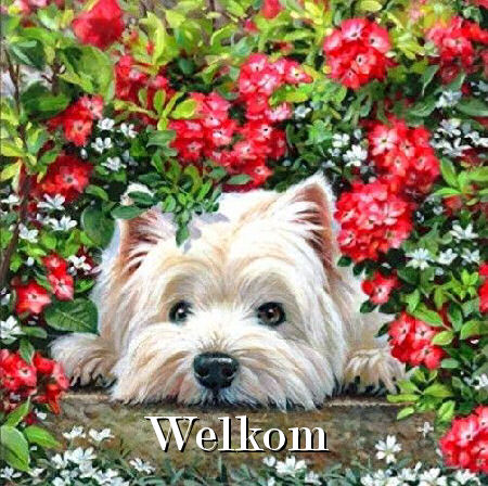 00adog bloemen welk…