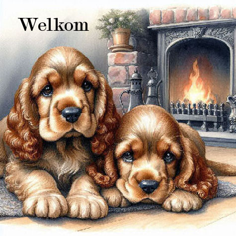 00adog9 welkom.jpg
