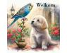 00adog....2  welkom.jpg