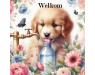 00adog water welkom.jpg