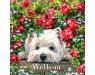 00adog bloemen welkom.jpg